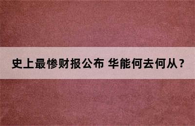 史上最惨财报公布 华能何去何从？